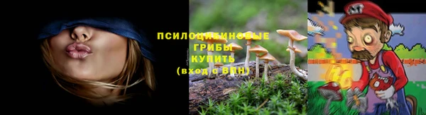 прущие крисы Абинск