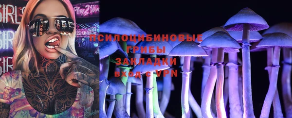 прущие крисы Абинск