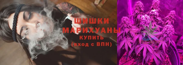 стаф Кулебаки