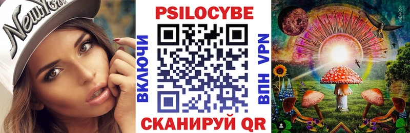 Псилоцибиновые грибы Psilocybe  ОМГ ОМГ ТОР  Новокузнецк 